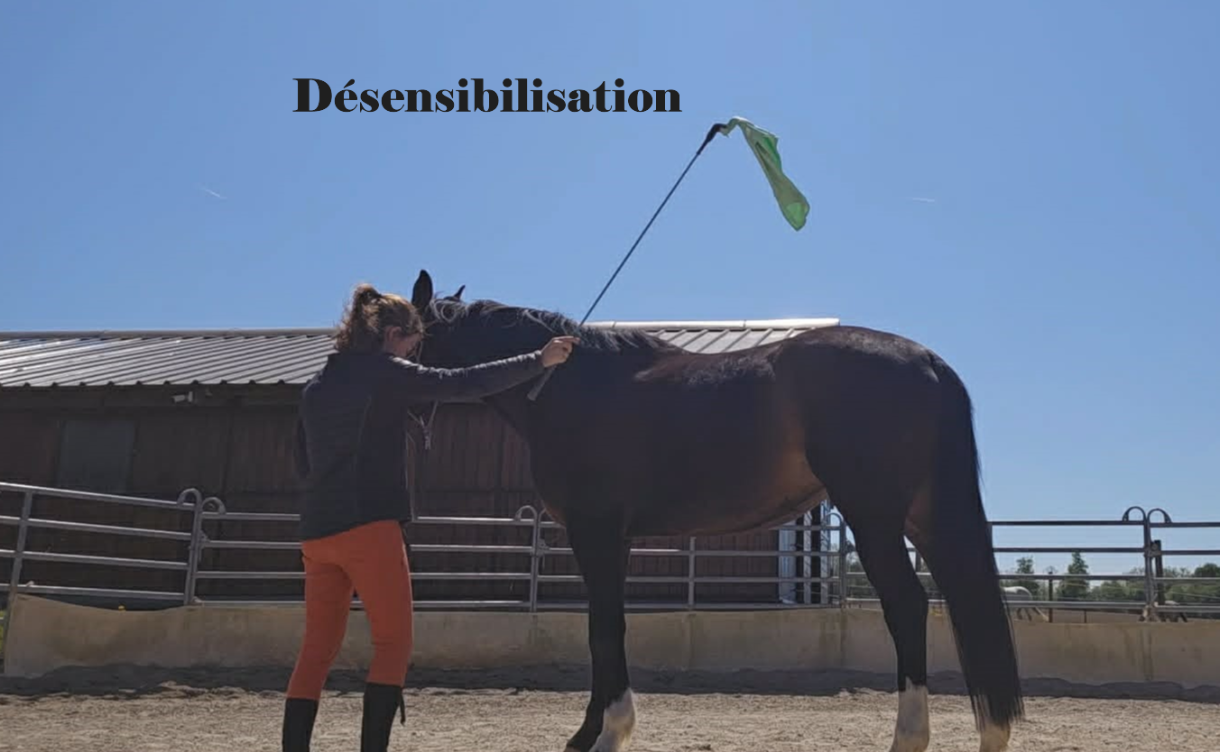 Désensibilisation