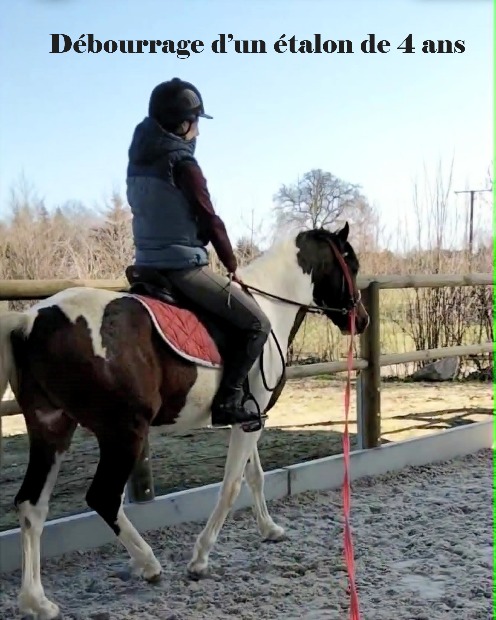 Débourrage du cheval